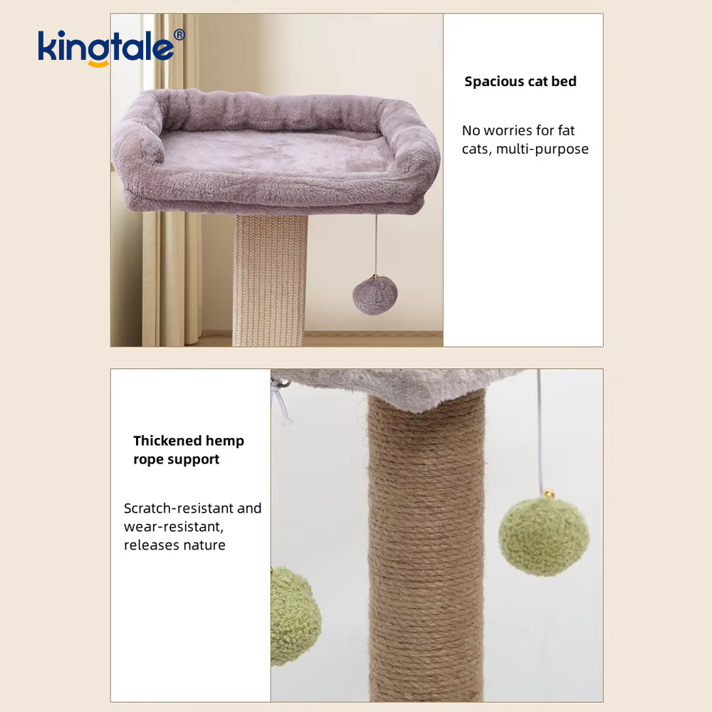 Grundlæggende kattetræ