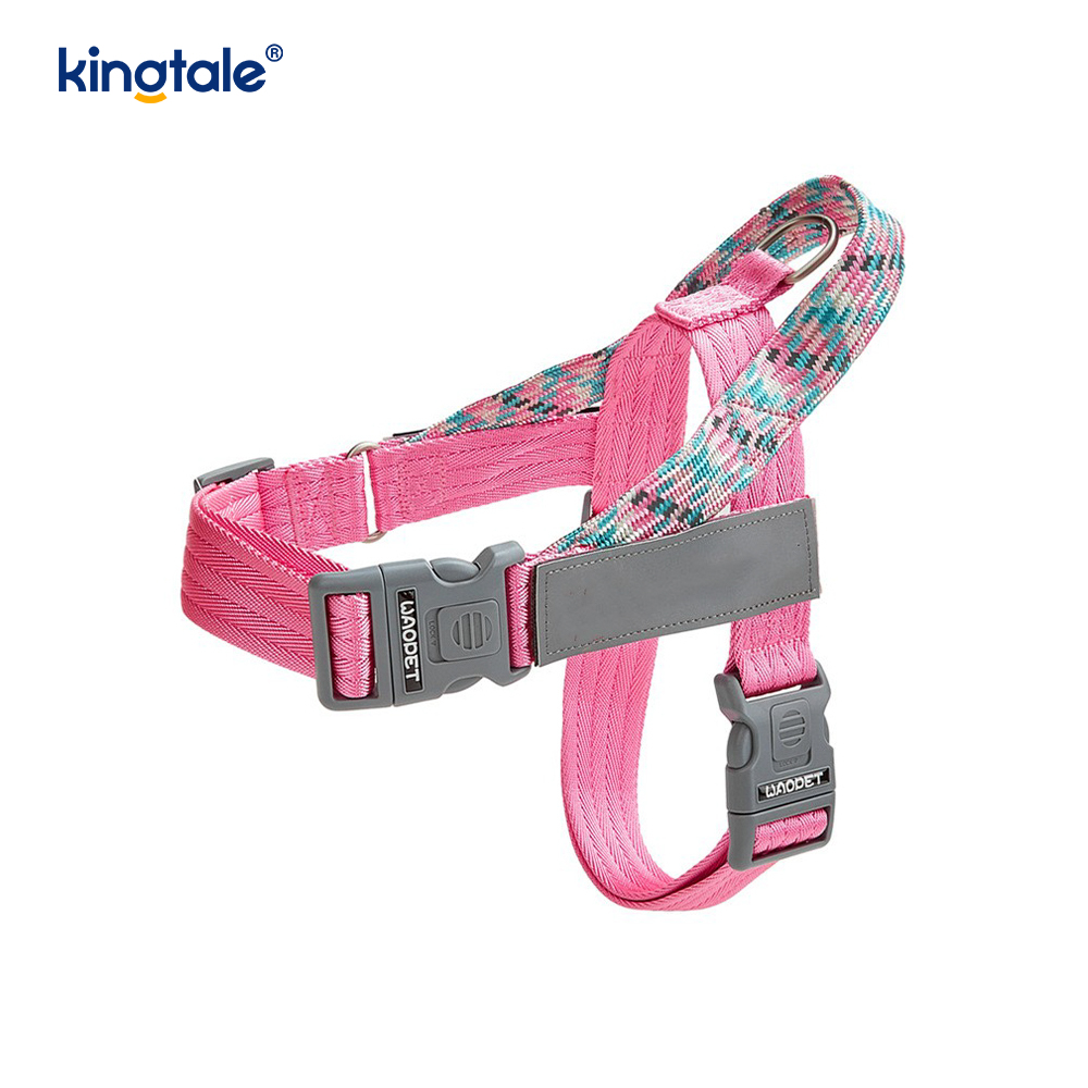 Udviklet Braid Nylon Webbing Highlight Reflekterende Hundesele