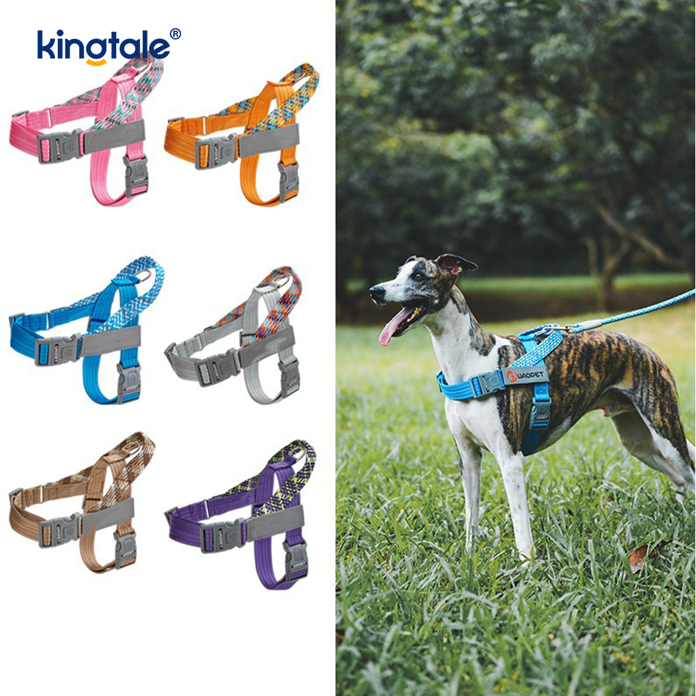 Udviklet Braid Nylon Webbing Highlight Reflekterende Hundesele