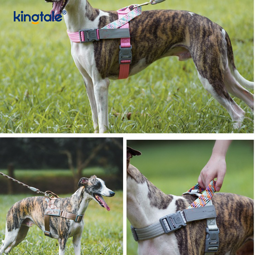 Udviklet Braid Nylon Webbing Highlight Reflekterende Hundesele