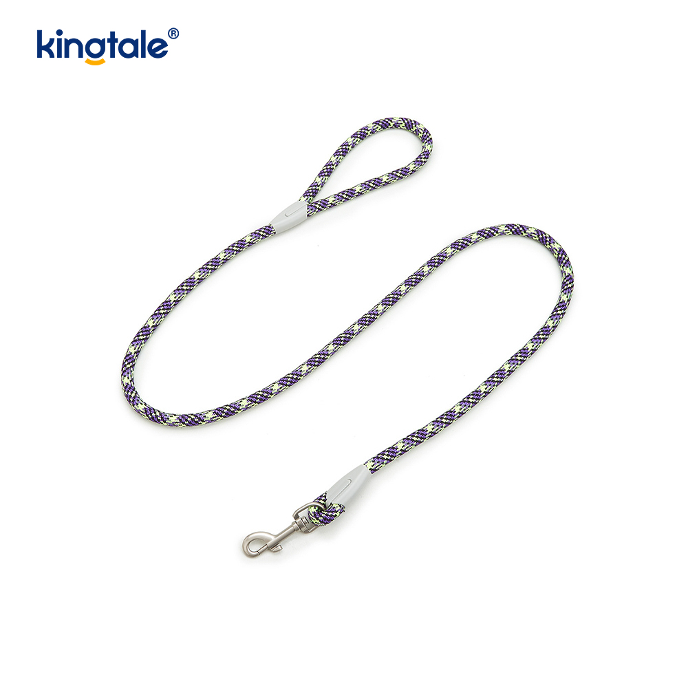 Udviklet Braid Nylon Webbing Highlight Reflekterende Hundesele