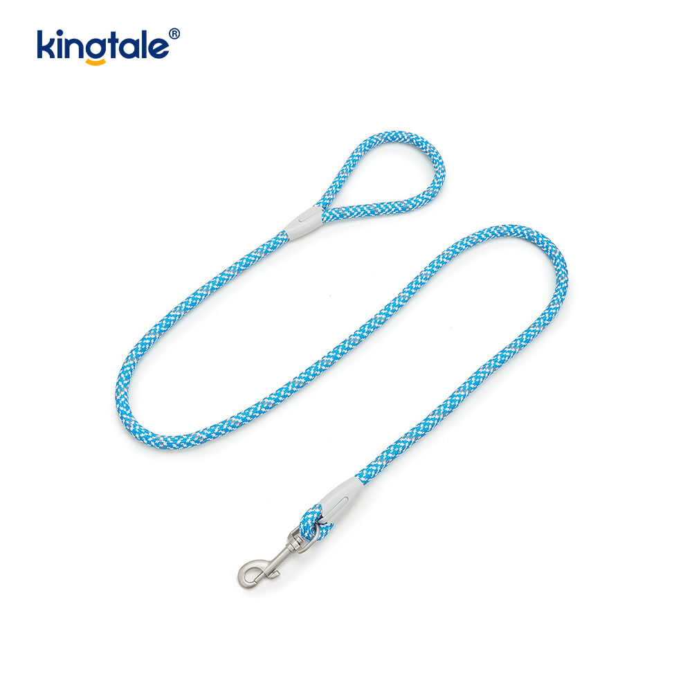 Udviklet Braid Nylon Webbing Highlight Reflekterende Hundesele