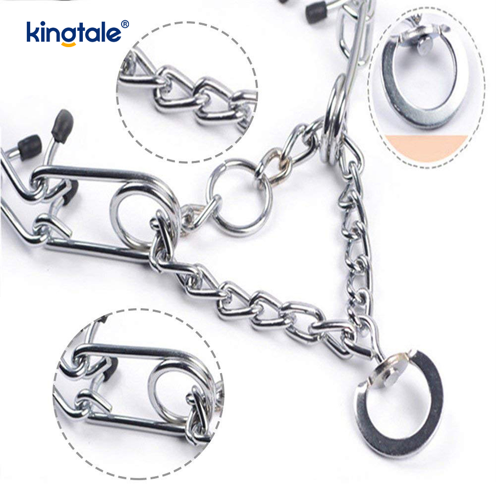 Pet Pinch Choke Halsbånd Carbon Steel Metal Prong Hundetræningshalsbånd