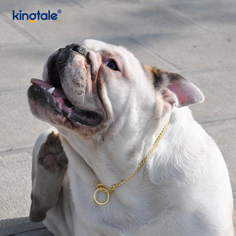 Pure Copper Metal Snake Dog Chain Halsbånd til små og mellemstore hunde
