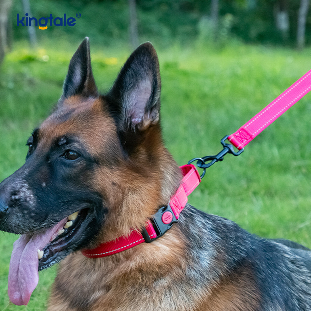 No Pull Reflekterende Justerbar Nylon Martingale Hundehalsbånd til S M L Hunde