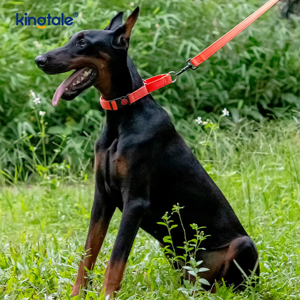 No Pull Reflekterende Justerbar Nylon Martingale Hundehalsbånd til S M L Hunde