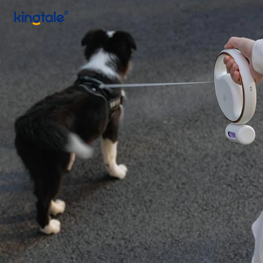 Enkel moderne LED-belysning, automatisk tilbagetrækkelig hundehalsbånd i nylon