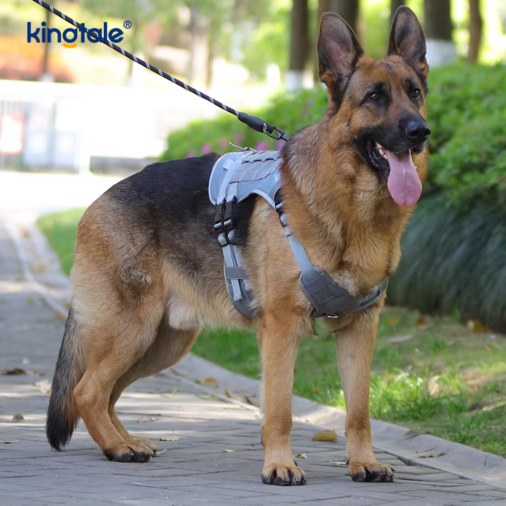 Tilpasset Heavy Duty Large Vest Mesh Åndbar Justerbar Hundesele