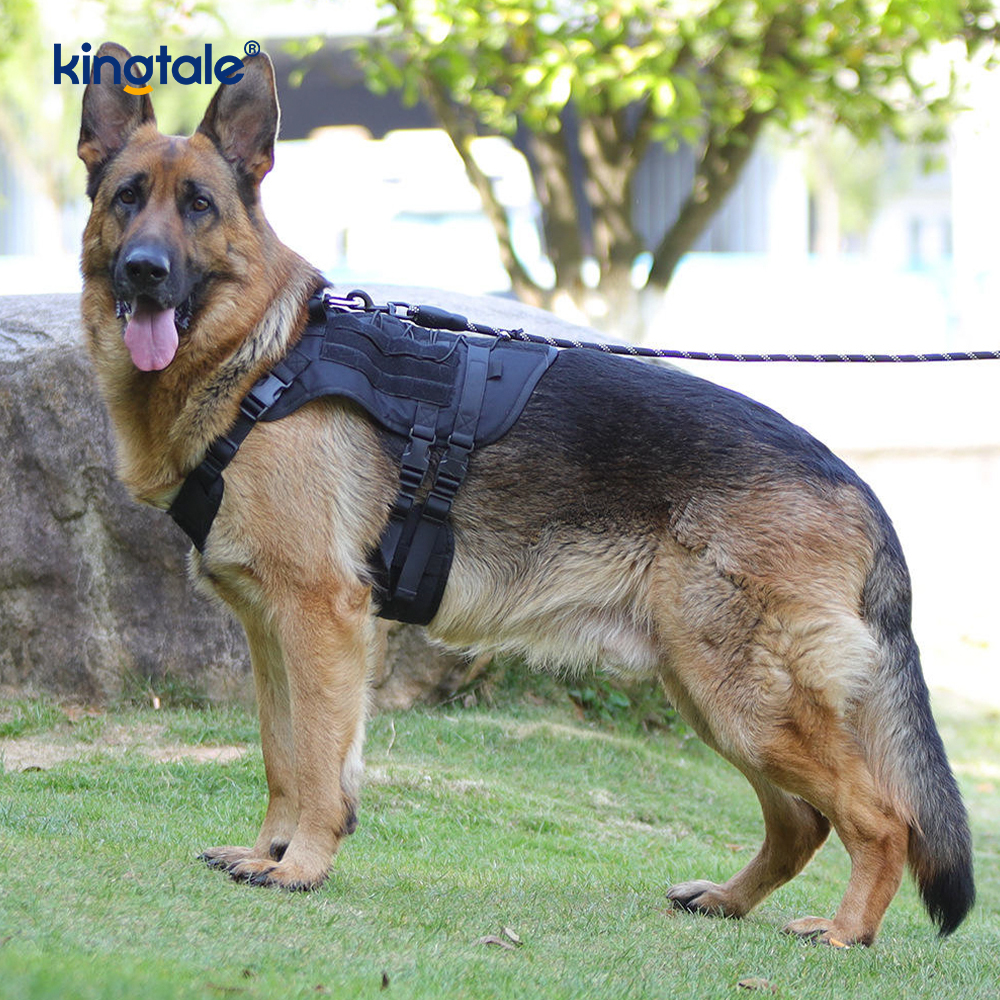 Tilpasset Heavy Duty Large Vest Mesh Åndbar Justerbar Hundesele