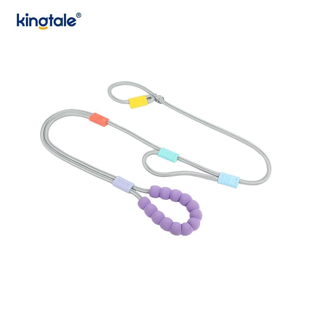 No Pull Holdbar Justerbar Nylon Dobbelt Håndtag Farverig Hunde Slip Leash