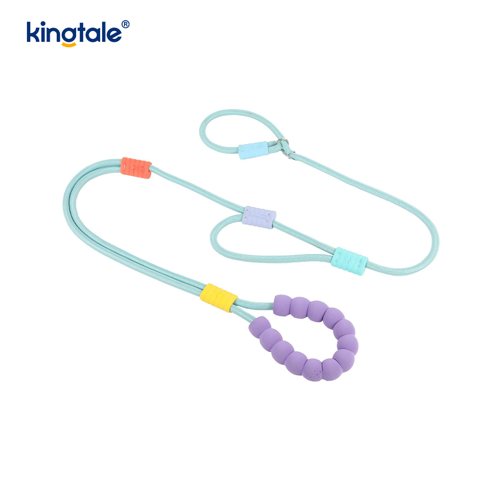 No Pull Holdbar Justerbar Nylon Dobbelt Håndtag Farverig Hunde Slip Leash