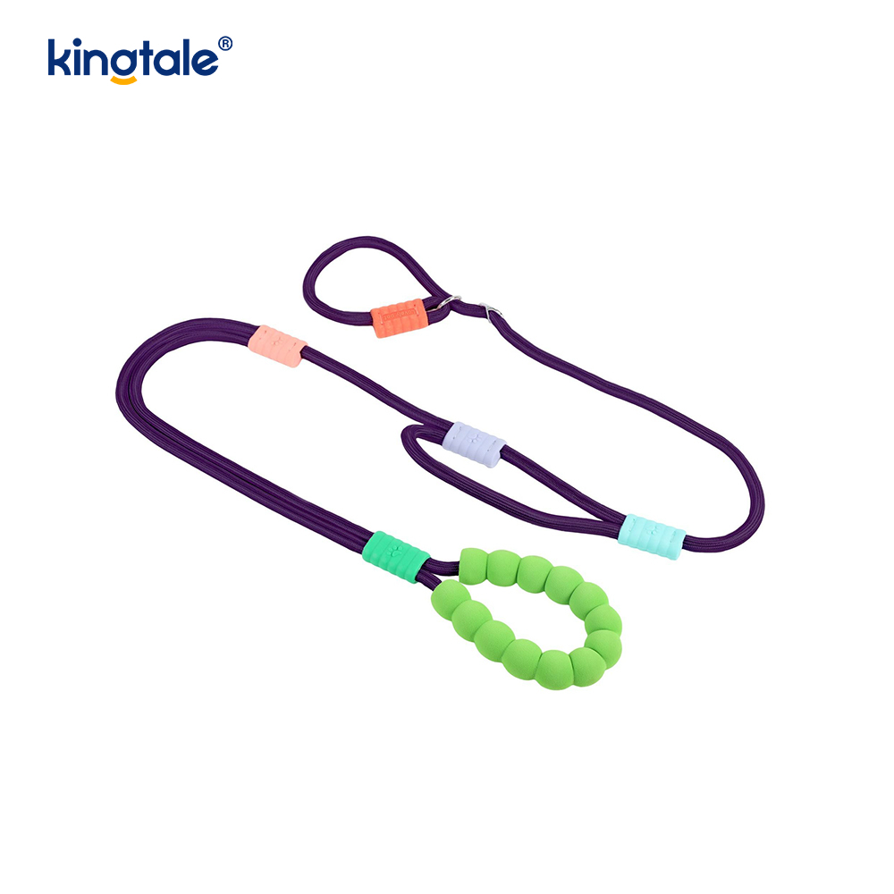 No Pull Holdbar Justerbar Nylon Dobbelt Håndtag Farverig Hunde Slip Leash