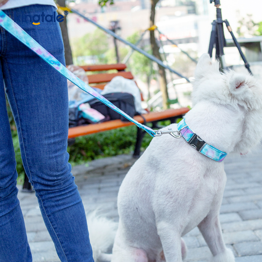 Drømmende stjernehimmel kæledyrshalsbånd i Amazon-stil til hundehalskæde