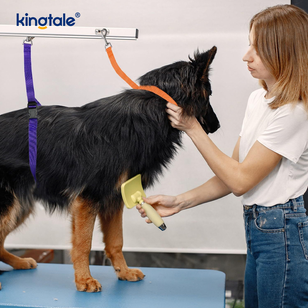 Engros Pet Grooming Restraint Leash Justerbar sikkerhedsstrop
