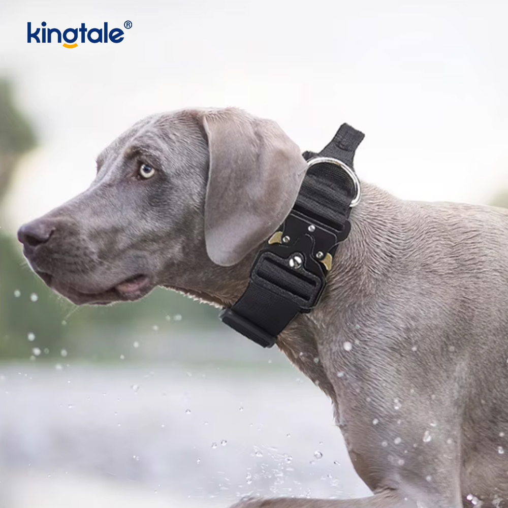 Træningsnylon No Pull Hundehalsbånd Leash Selesæt med kontrol